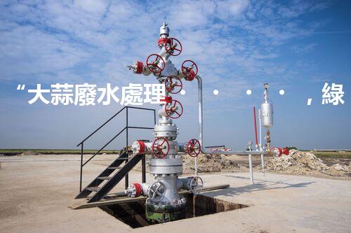 “大蒜廢水處理，綠色環(huán)保新篇章”